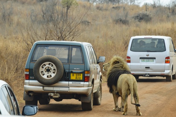 是邪惡還是正義的象徵1