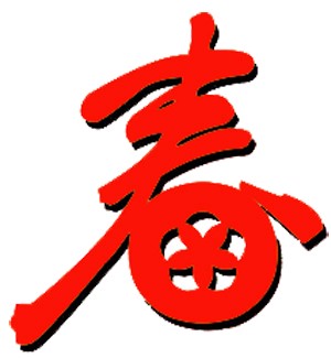 讓父母在異鄉開心過年1