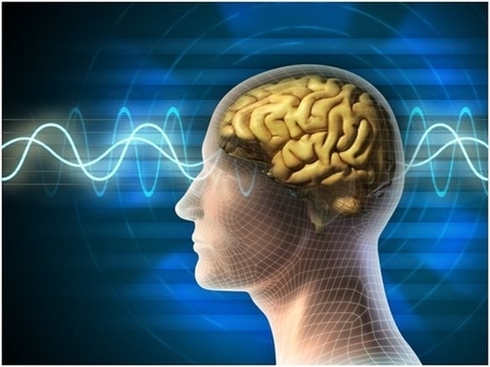 1201080658271528--ss2